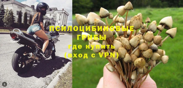 а пвп мука Балабаново